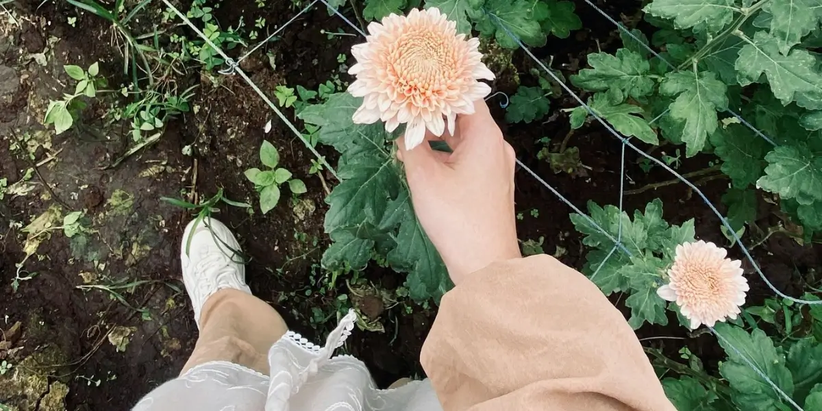 Self-Care Sunday for Beginners Who Don’t Know Where to Start